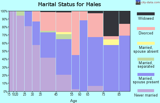 Madeira Beach marital status for males