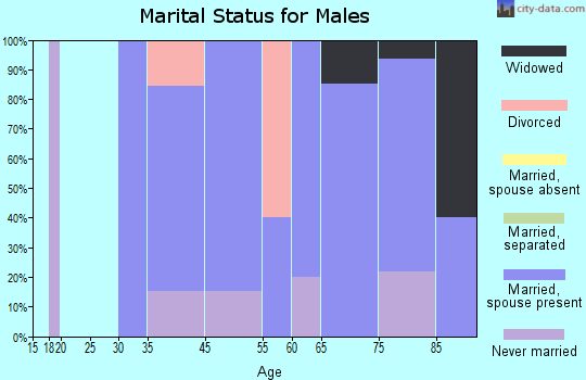 Manalapan marital status for males