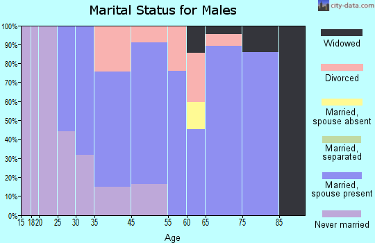 Manattee Road marital status for males