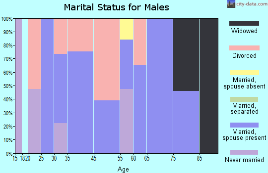 Masaryktown marital status for males