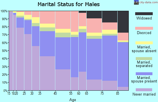 Miami Beach marital status for males
