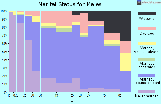 Miami Springs marital status for males