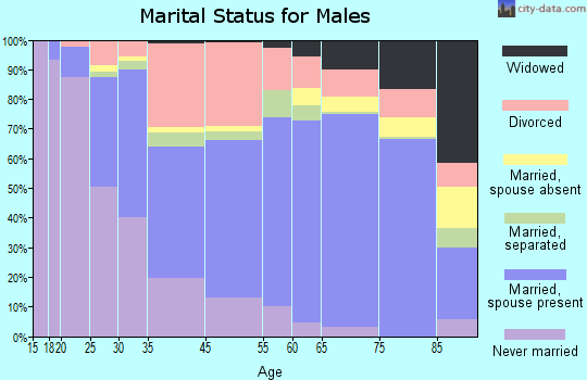 New Port Richey marital status for males