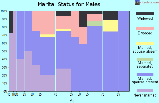 Nokomis marital status for males