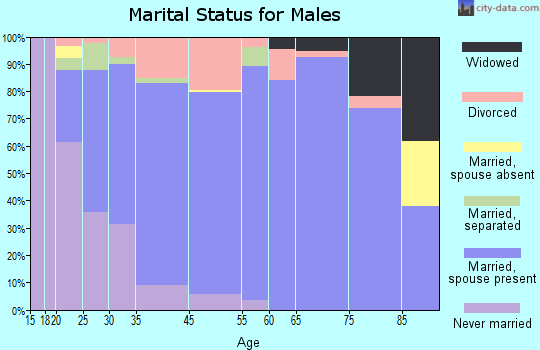 Rainbow City marital status for males