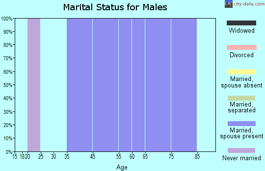North Beach marital status for males