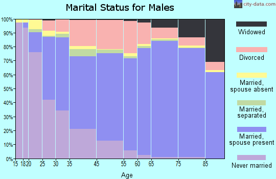 North Fort Myers marital status for males