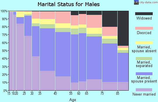 North Miami marital status for males