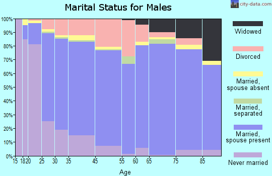 North Port marital status for males