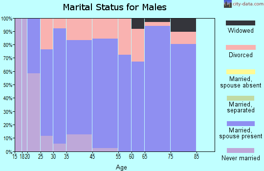 Rainsville marital status for males
