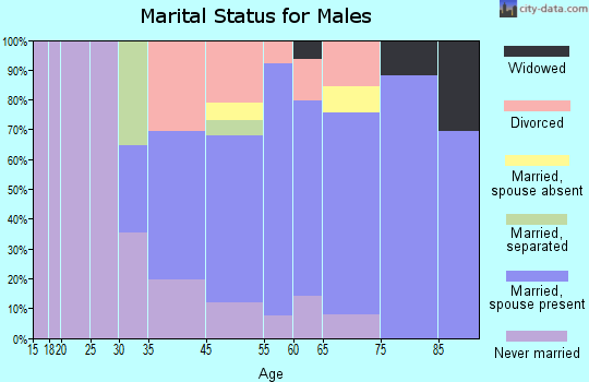 North Redington Beach marital status for males