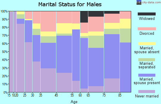 Opa-locka marital status for males