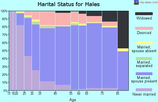 Palm Bay marital status for males