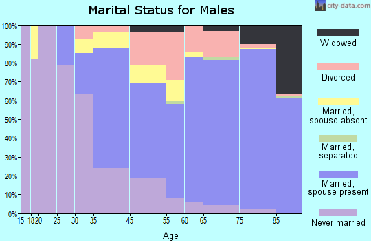 Palm Beach marital status for males