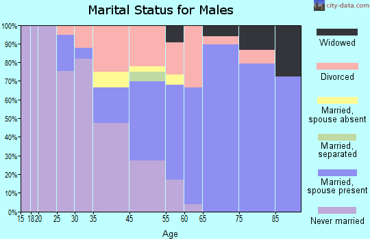Palm Beach Shores marital status for males