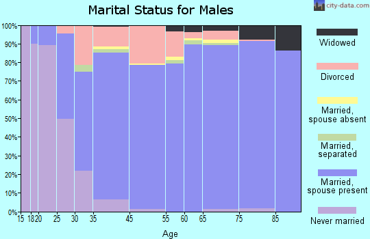 Palm City marital status for males