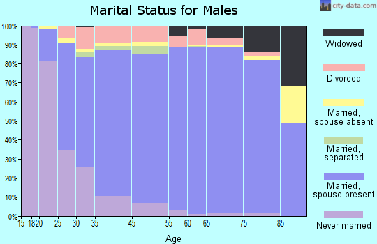 Palm Coast marital status for males
