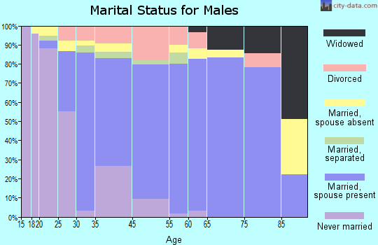 Palmetto Estates marital status for males