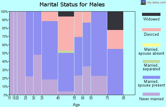 Palmona Park marital status for males