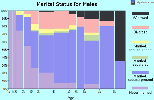 Palm River-Clair Mel marital status for males