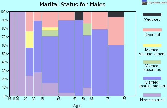 Palm Shores marital status for males
