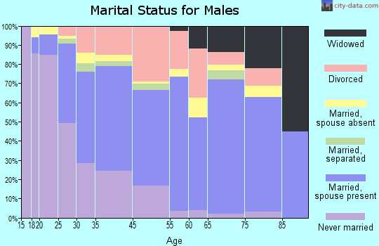 Palm Springs marital status for males
