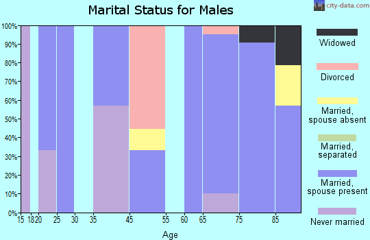 Penney Farms marital status for males