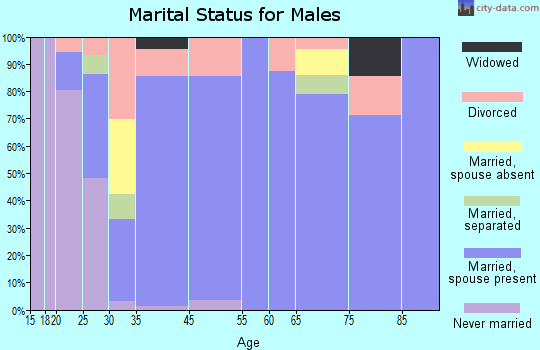 Rehobeth marital status for males