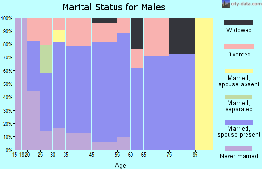 Polk City marital status for males