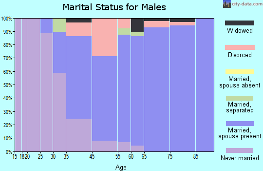 Ponce Inlet marital status for males