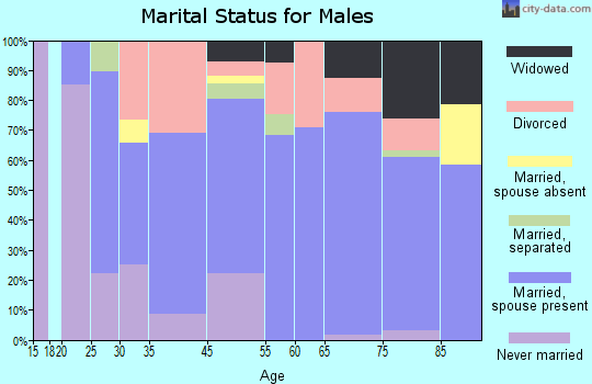 Port St. Lucie-River Park marital status for males
