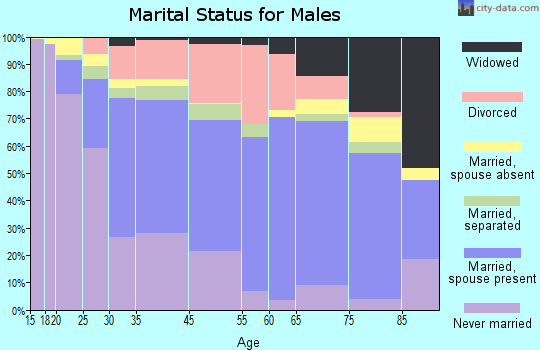 Bessemer marital status for males
