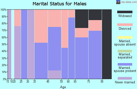Rio marital status for males