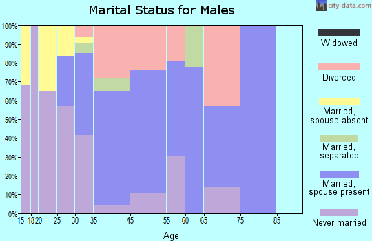 Riverland Village marital status for males