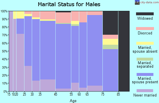 Riverview marital status for males