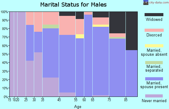St. James City marital status for males