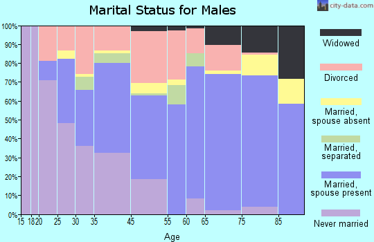 St. Pete Beach marital status for males