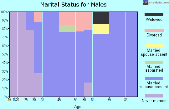 Rock Creek marital status for males