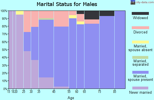 Samsula-Spruce Creek marital status for males