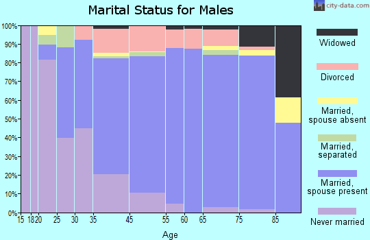 Satellite Beach marital status for males