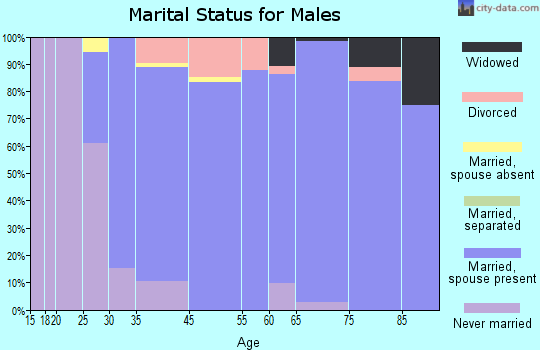 Sewall's Point marital status for males