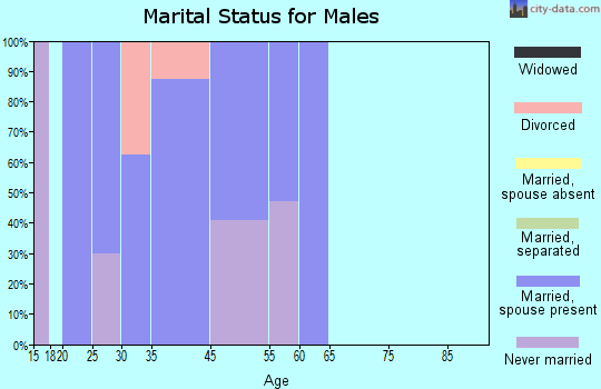 Rock Mills marital status for males