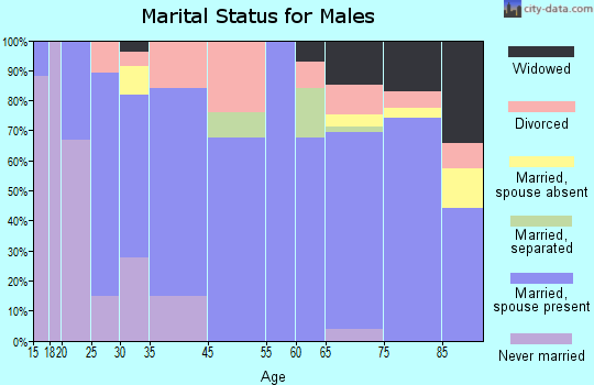 Silver Springs Shores marital status for males