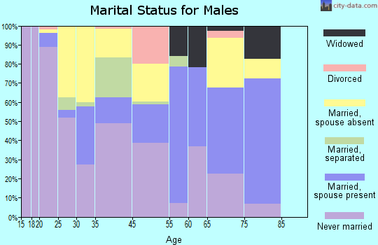 South Bay marital status for males