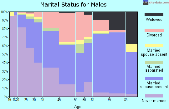 South Bradenton marital status for males