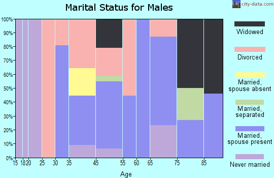 South Brooksville marital status for males