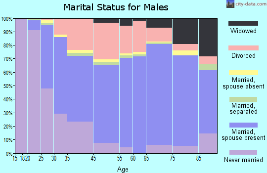 South Daytona marital status for males