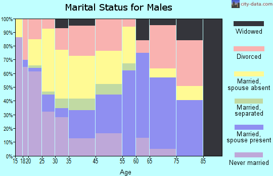 South Highpoint marital status for males