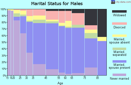 South Miami Heights marital status for males