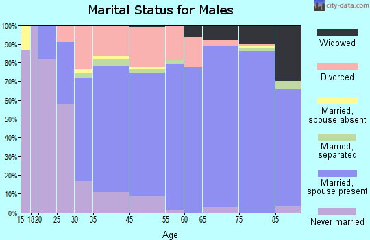 South Venice marital status for males